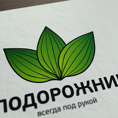Разработка бренда «Подорожник»